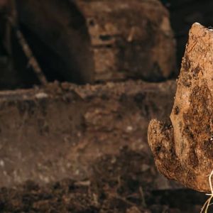 Засыпка пазух котлована: материалы и техника